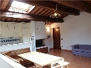 bagno a ripoli in collina via di terzano in colonica al primo ed ultimo piano bell appartamento completamente ristrutturato mai abitato grande soggiorno con angolo cottura e caminetto 2 grandi camere matrimoniali bagno molto grande con angolo lavanderia panoramico giardino posti auto arredato o non
