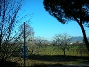 Visualizza dettaglio immobile