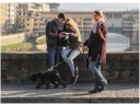 piccolo ma graziossissimo negozio locato nel centro storico di firenze, pressi via calzaioli, con una sola vetrina ma molto luminosa. incentivo all' esodo.
offriamo inoltre, altre interessanti proposte commerciali, locate sempre in zona centro, fra piazza del duomo - piazza della signoria - via tornabuoni - stazione smn, anche senza buonuscita. strade di intenso passaggio turistico nella favolosa firenze antica.
la nostra agenzia avra' il piacere di indirizzarvi verso la scelta più adatta alle vostre esigenze indicandovi la location migliore in termini di qualita' offerta e prezzo.
chiama per una ricerca mirata al 347 1835061 siamo a vostra disposzione.