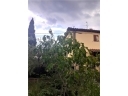 Visualizza dettaglio immobile
