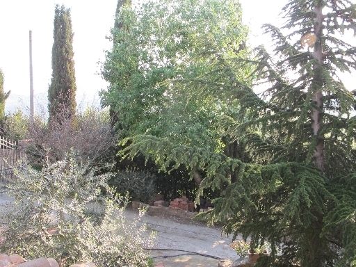 Imm2000-0089-1-078140656