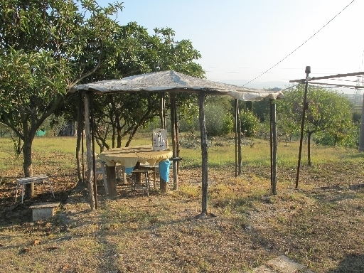 Imm2000-0089-6-001340814
