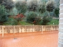 Anteprima Foto immobile 8