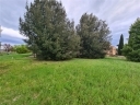 Anteprima Foto immobile 47