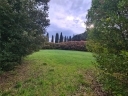 Anteprima Foto immobile 48