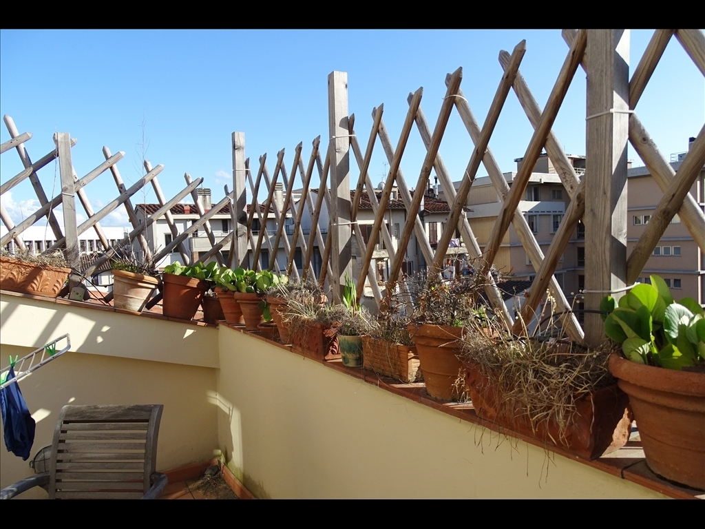 Appartamento in affitto a Firenze zona Piazza indipendenza-fortezza da basso - immagine 16