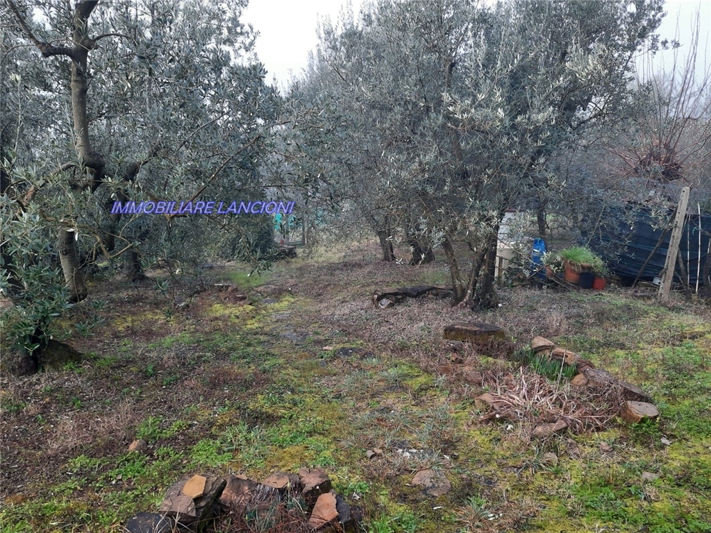 Generico in vendita a Scandicci zona Vingone - immagine 1