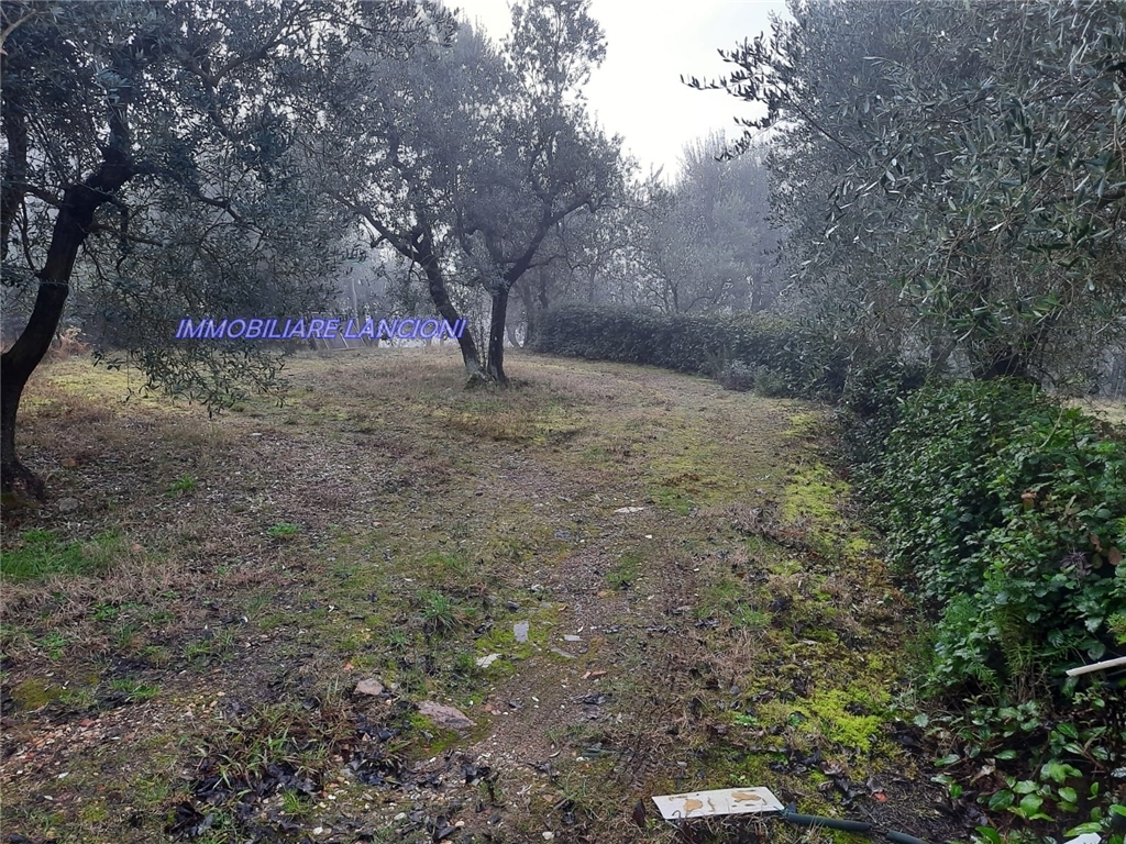 Generico in vendita a Scandicci zona Vingone - immagine 2