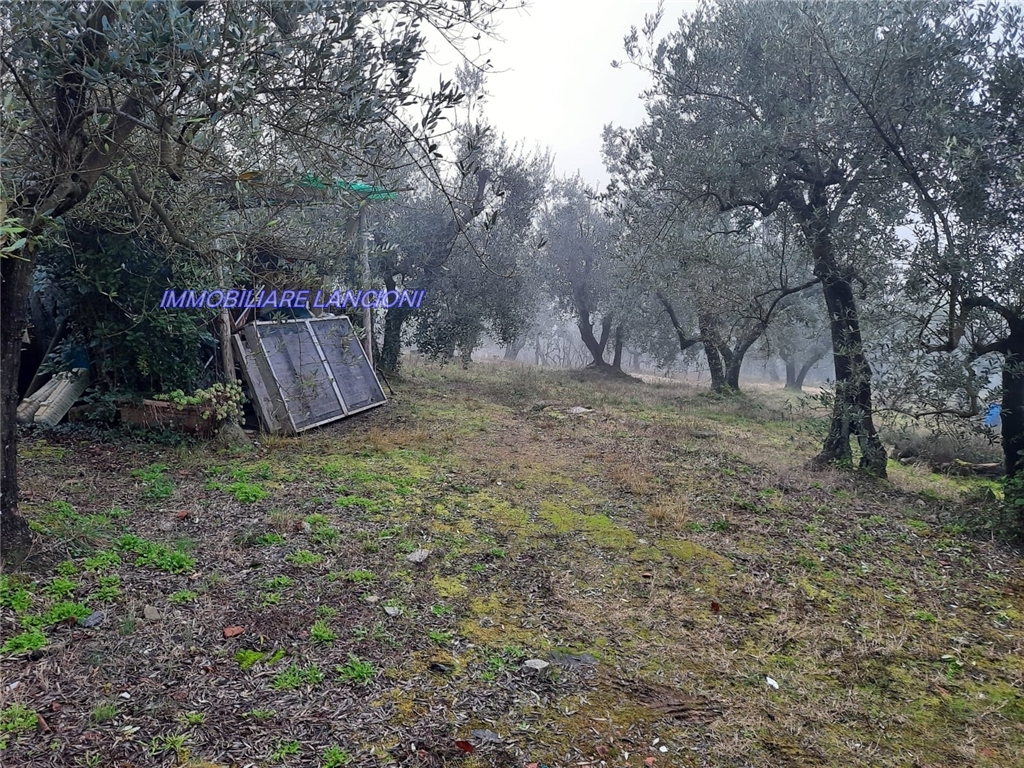 Generico in vendita a Scandicci zona Vingone - immagine 3