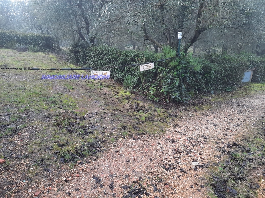 Generico in vendita a Scandicci zona Vingone - immagine 4