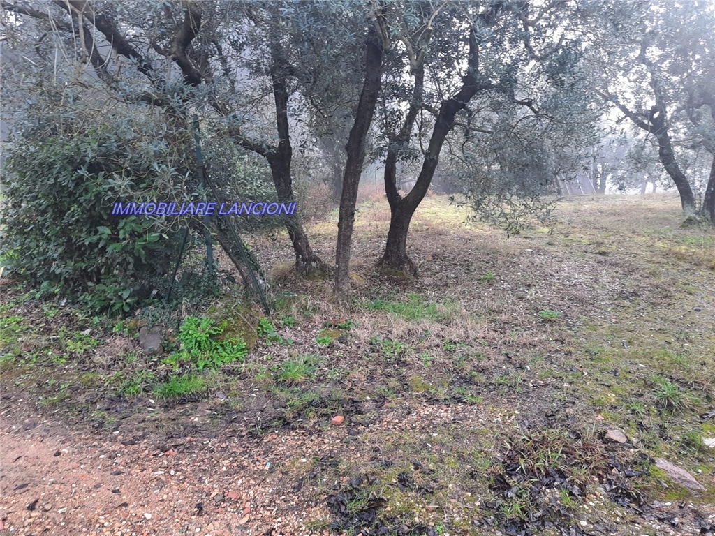 Generico in vendita a Scandicci zona Vingone - immagine 6