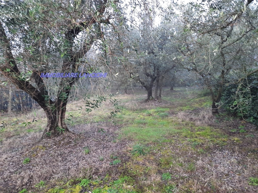 Generico in vendita a Scandicci zona Vingone - immagine 8