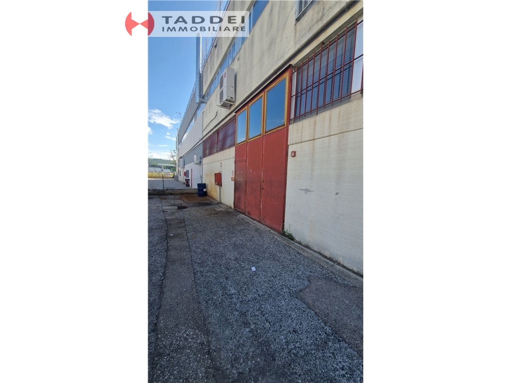 Capannone / Magazzino in affitto a Lastra a signa zona Industriale - immagine 2