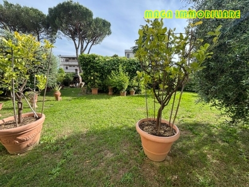 Appartamento in vendita a Campi bisenzio zona Campi bisenzio - immagine 4