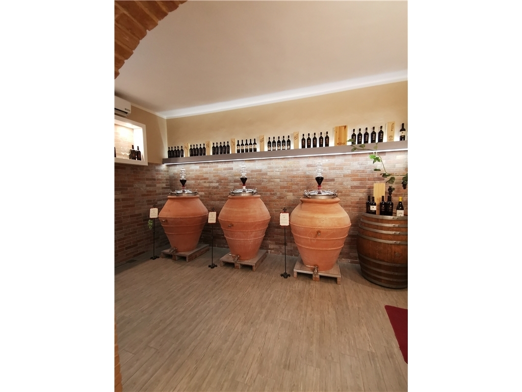 Azienda agricola - Cerreto Guidi (2/12)