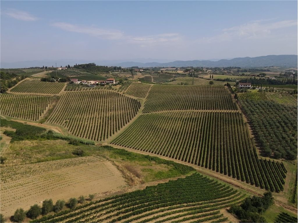 Azienda agricola - Cerreto Guidi (11/12)