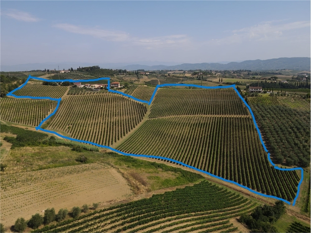 Azienda agricola - Cerreto Guidi (12/12)