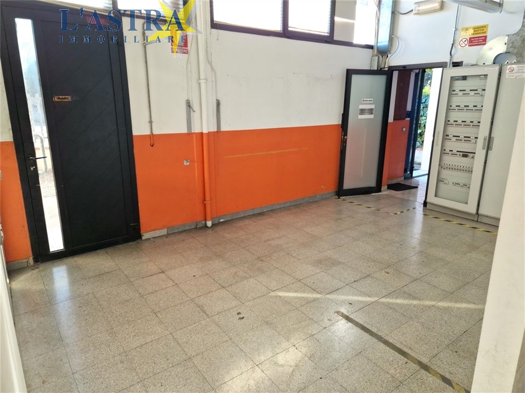 Capannone / Magazzino in vendita a Poggio a caiano zona Poggio a caiano - immagine 5