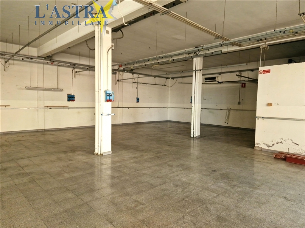 Capannone / Magazzino in vendita a Poggio a caiano zona Poggio a caiano - immagine 8