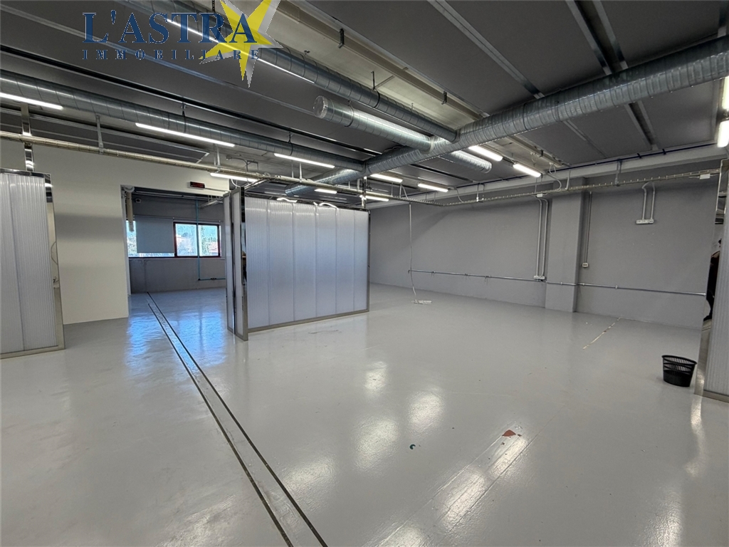 Capannone / Magazzino in affitto a Scandicci zona Casellina - anteprima 5
