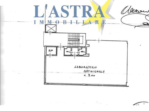 Capannone / Magazzino in affitto a Scandicci zona Casellina - immagine 11