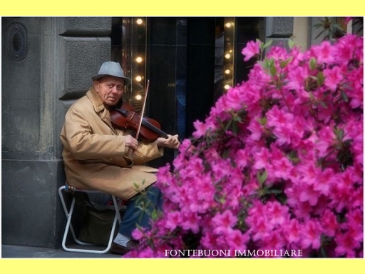 Fondo / Negozio / Ufficio in affitto a Firenze zona Piazza del duomo-piazza della signoria - immagine 5