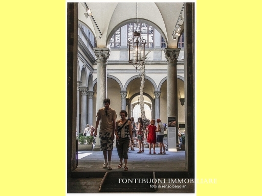 Fondo / Negozio / Ufficio in affitto a Firenze zona Porta san frediano-piazza santo spirito - anteprima 5