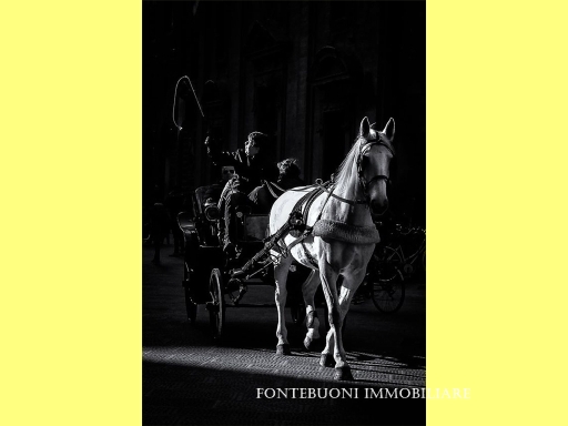 Fondo / Negozio / Ufficio in affitto a Firenze zona Piazza santa maria novella-piazza ognissanti - anteprima 2