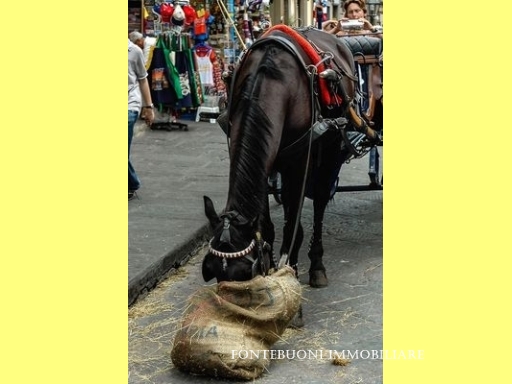 Fondo / Negozio / Ufficio in vendita a Firenze zona Piazza del duomo-piazza della signoria - anteprima 3