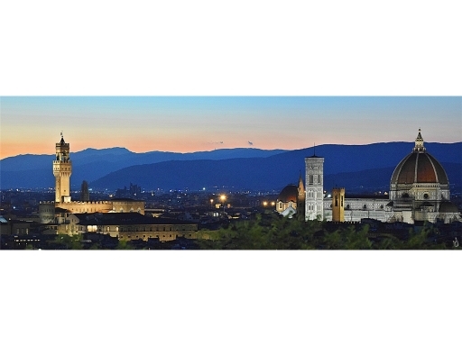 Attività commerciale in vendita a Firenze zona Beccaria-d'azeglio - immagine 6