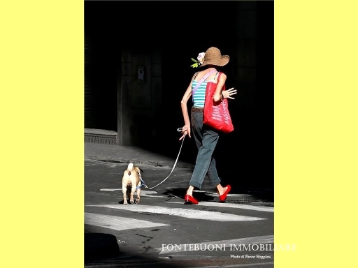 Attività commerciale in vendita a Firenze zona Piazza liberta' - anteprima 5