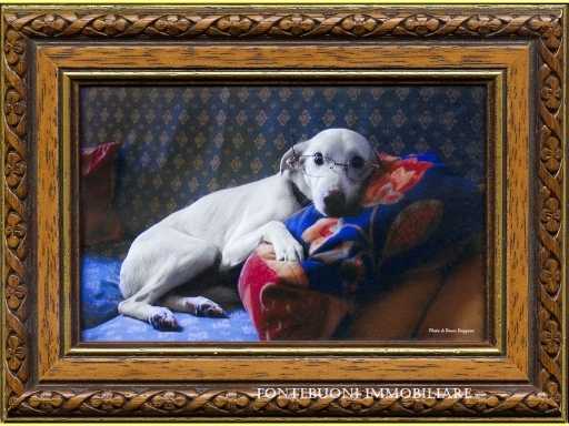 Attività commerciale in vendita a Firenze zona Dalmazia - immagine 4