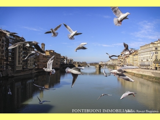 Attivita' commerciali Firenze