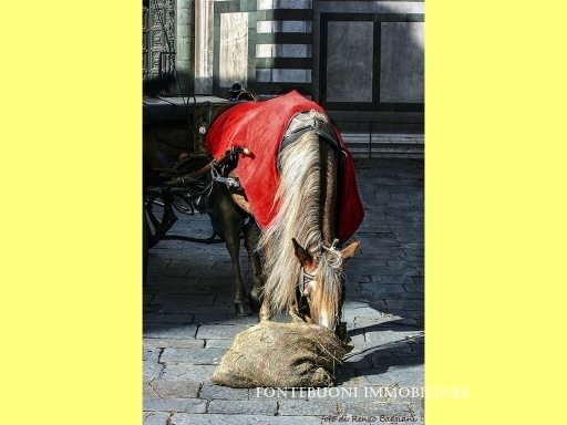 Attività commerciale in affitto a Firenze zona Piazza santa croce-sant'ambrogio - immagine 2