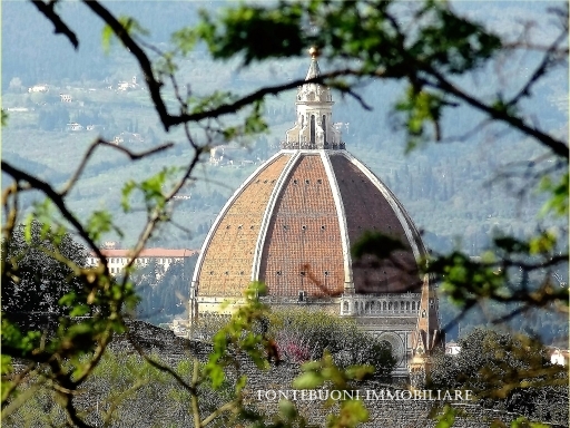 Attività commerciale in vendita a Firenze zona Dalmazia - anteprima 4