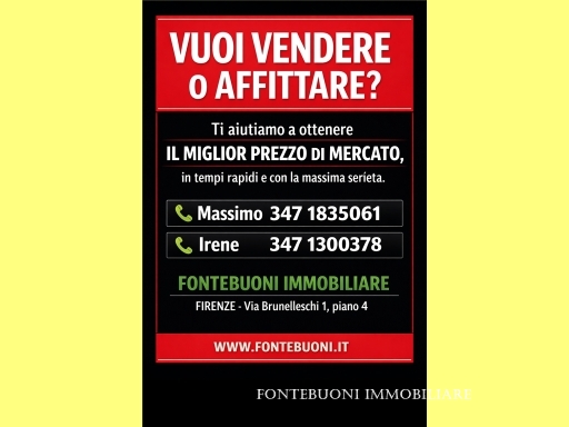 Attività commerciale in vendita a Firenze zona Porta san frediano-piazza santo spirito - anteprima 8