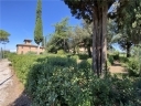 Anteprima Foto immobile 14