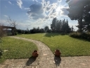 Anteprima Foto immobile 3