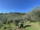 Anteprima Foto immobile 5