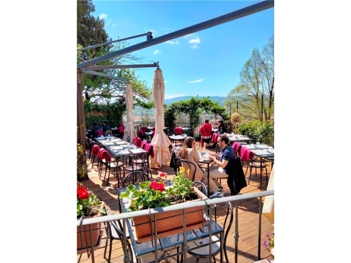 attivita' commerciali Certaldo