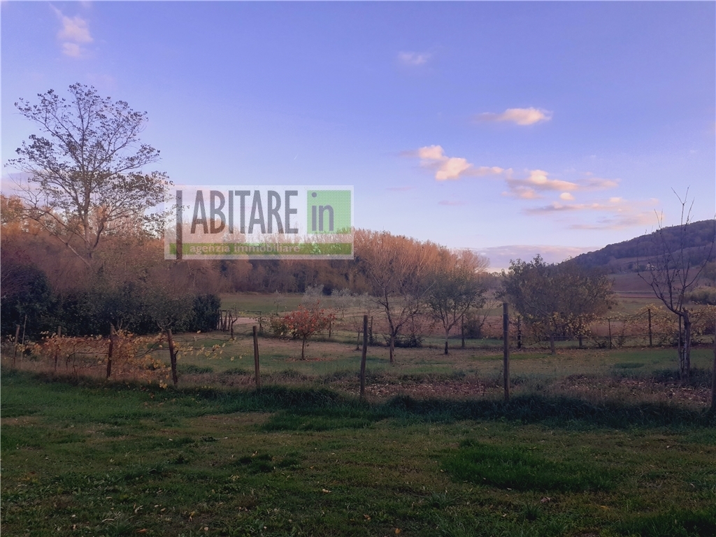 Colonica in vendita a San casciano in val di pesa zona San casciano in val di pesa - immagine 5