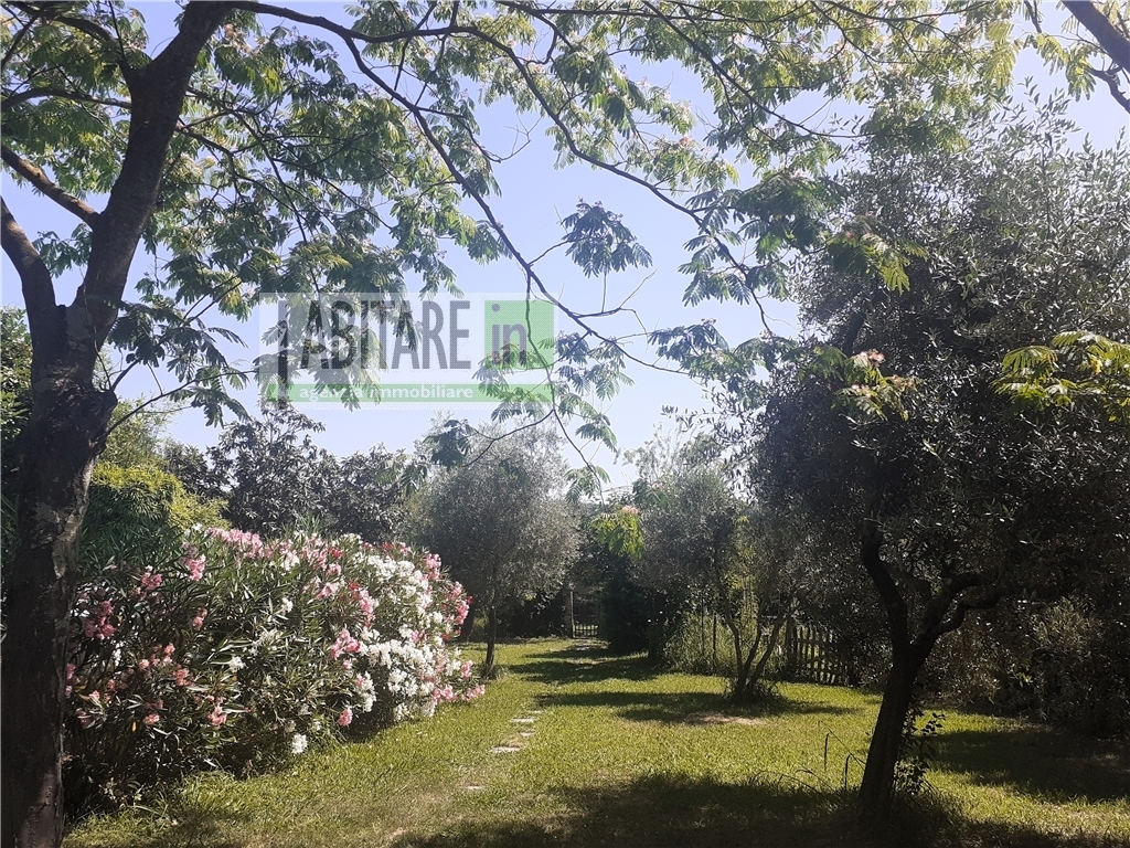 Colonica in vendita a Montespertoli zona Montagnana - immagine 3