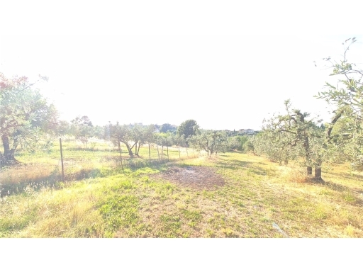 GEIMM SERVIZI IMMOBILIARI - Rif. 6/0094